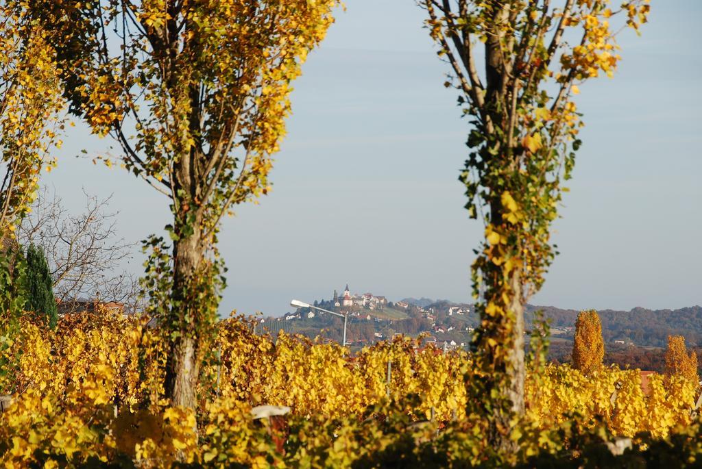 Апартаменты Winzerhof Familie Kloeckl Клёх Экстерьер фото
