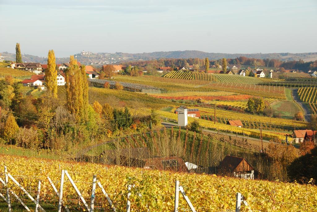 Апартаменты Winzerhof Familie Kloeckl Клёх Экстерьер фото