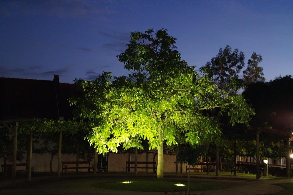 Апартаменты Winzerhof Familie Kloeckl Клёх Экстерьер фото