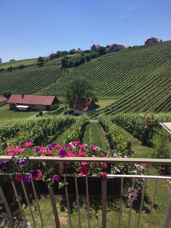 Апартаменты Winzerhof Familie Kloeckl Клёх Экстерьер фото
